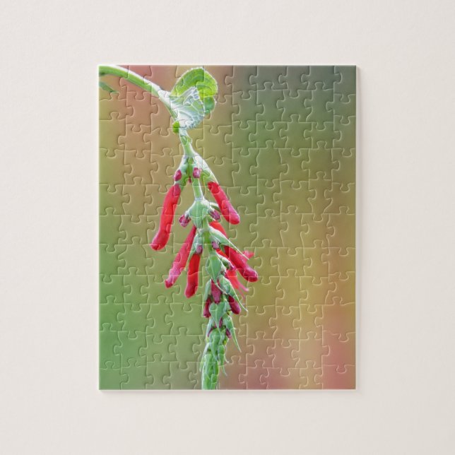 Puzzle Fleur d'ananas (Vertical)
