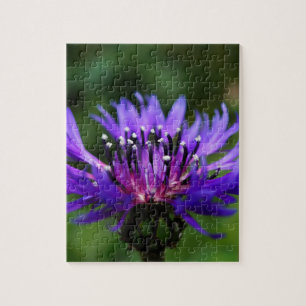 Puzzle Fleur de Bleuet Fleurs de Bleuet Paix Amour Destin