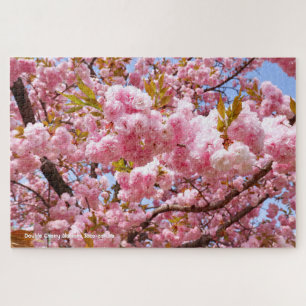 Puzzle Fleur de cerise double : Sato-zakura