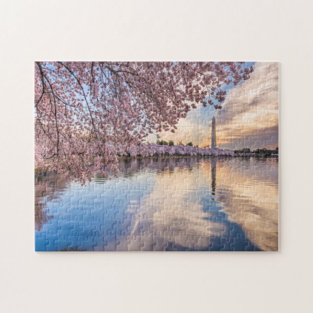 Puzzle Fleur de cerisier de Washington D.C (Horizontal)
