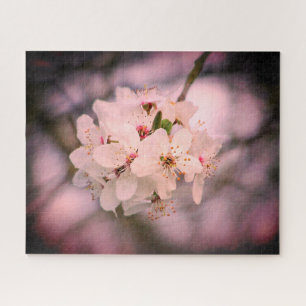 Puzzle Fleur de cerisier Japon rose floral assez unique