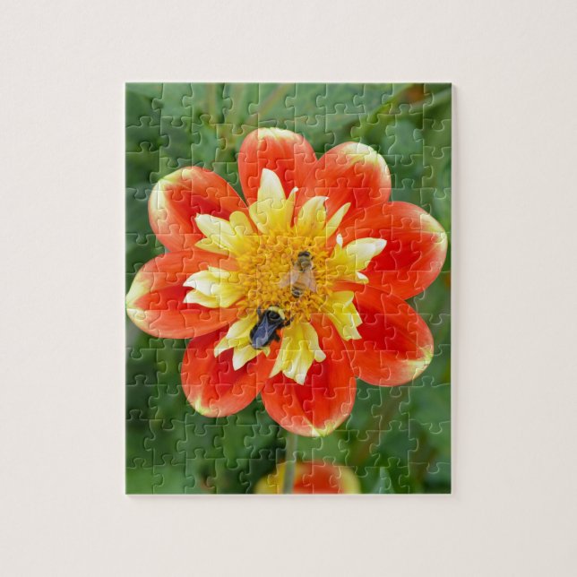Puzzle Fleur de dahlia orange avec des abeilles (Vertical)