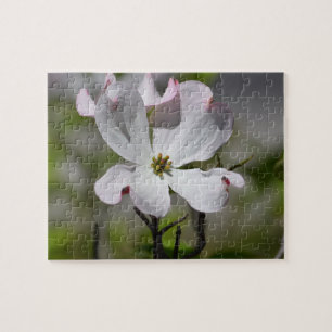 Puzzle Fleur de Dogwood blanc