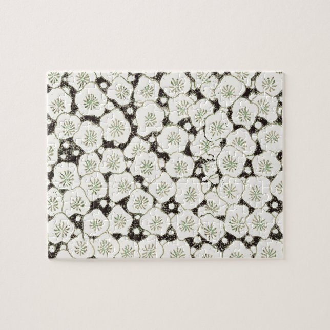 Puzzle Fleur de Japon vintage 1902 : Fleur noire et blanc (Horizontal)