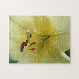 Puzzle Fleur de lily jaune de près 