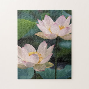 Puzzle Fleur de lotus en fleurs, Chine