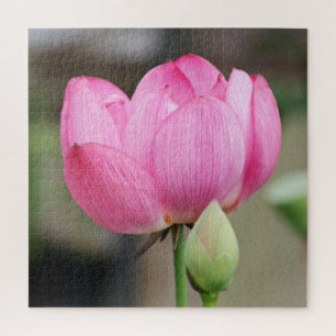 Puzzle Fleur de Lotus rose