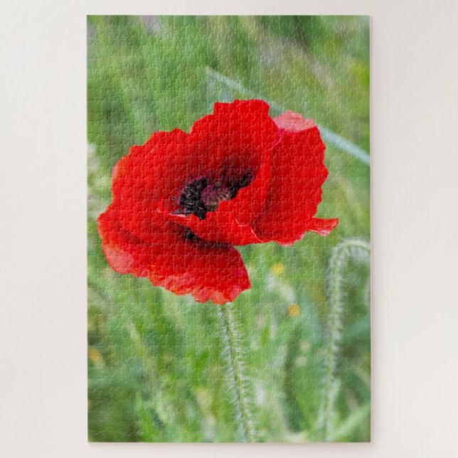 Puzzle Fleur de pavot rouge (Vertical)