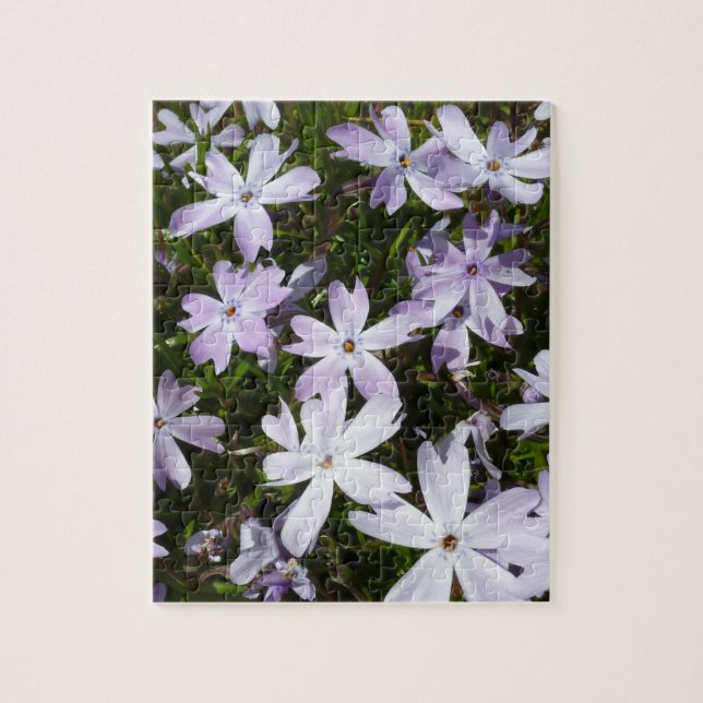 Puzzle Fleur de Phlox (Vertical)