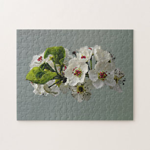 Puzzle Fleur de poires blanches