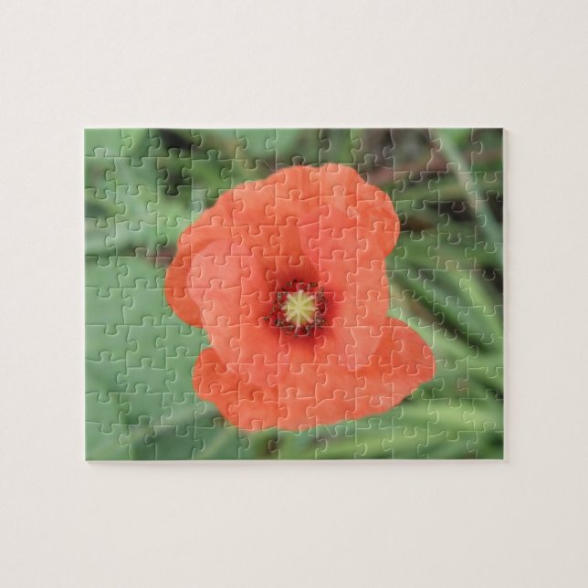 Puzzle Fleur de Poppy sauvage (Horizontal)
