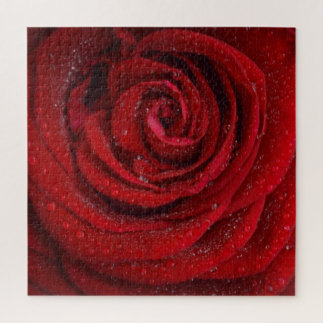 Puzzle Fleur de rose rouge (Vertical)
