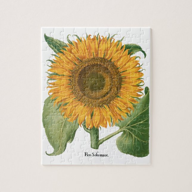 Puzzle Fleur de tournesol vintage par Basilius Besler (Vertical)