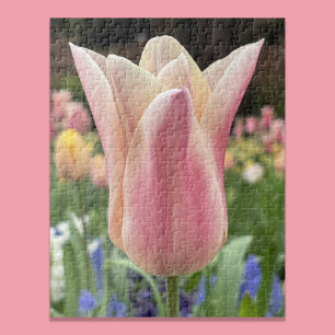 Puzzle Fleur de tulipe unique dans le jardin de Skagit Va