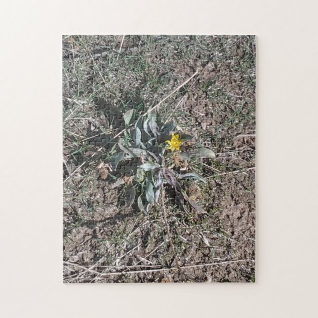 Puzzle Fleur des contreforts du désert jaune (Vertical)