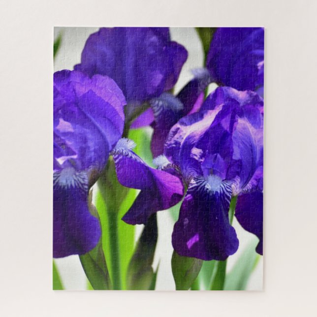 Puzzle Fleur d'Iris pourpre (Vertical)