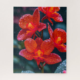 Puzzle Fleur d'orchidée rouge