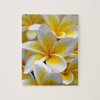 Puzzle Fleur Frangipani Plumeria