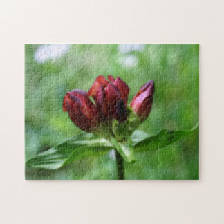Puzzle Fleur Gentienne Rouge En Effet Orton En Fleur De F