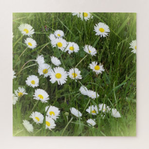 Puzzle fleur grande et brillante devant un fond vert