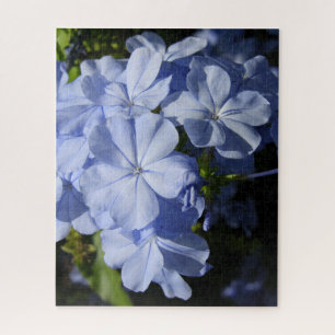 Puzzle Fleur Hawaiian Blue Plumbago