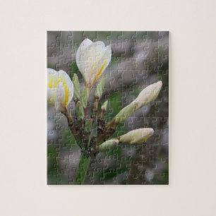 Puzzle fleur, jardin, été, nature, bougainvillée,