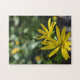 Puzzle Fleur Jaune Fleur Florale Nature Photographie