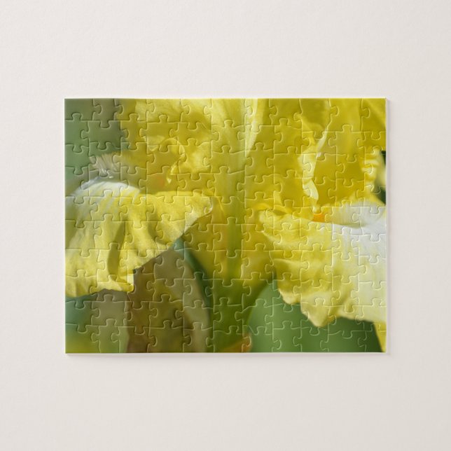 Puzzle Fleur Jaune Iris (Horizontal)