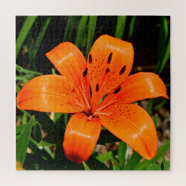 Puzzle Fleur Lily asiatique orange vibre (Vertical)