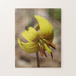 Puzzle Fleur Lily De Truite Sauvage Et Ami D'Insecte