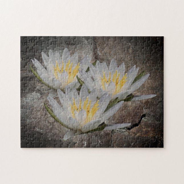 Puzzle Fleur Lotus Lily D'Eau Sur Pierre (Horizontal)