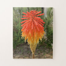 Fleur orange et jaune