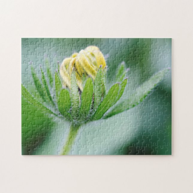 Puzzle Fleur ouverte de l'Echinacea (Horizontal)