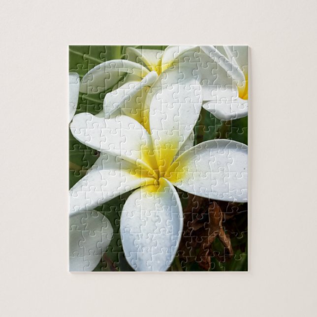 Puzzle Fleur Plumeria Hawaii Blanc (Vertical)