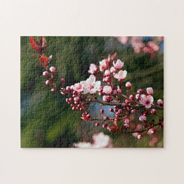 Puzzle Fleur rose dans la lumière chaude de l'été (Horizontal)