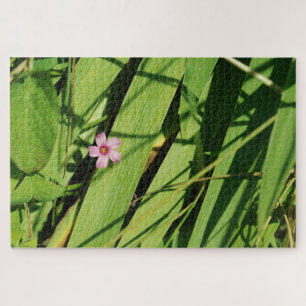 Puzzle Fleur rose Green Photographie botanique Graphique