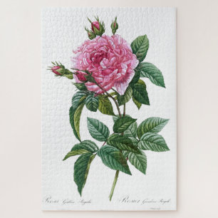 Puzzle Fleur rose rose gallique Vintage vieille illustrat