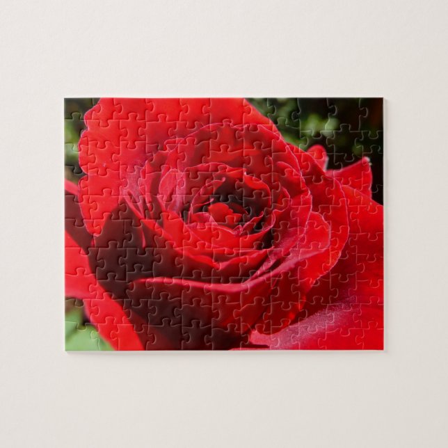 Puzzle Fleur rose rouge vif Belle florale (Horizontal)