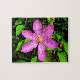 Puzzle Fleur rose vive en fleurs et Arrière - plan vert