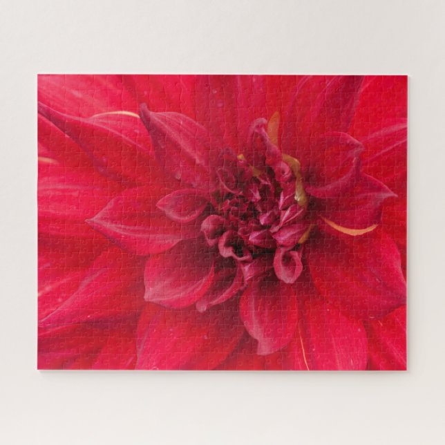 Puzzle Fleur Rouge Dahlia (Horizontal)