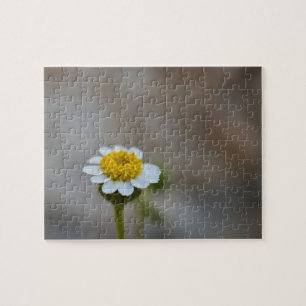 Puzzle fleur sauvage 5