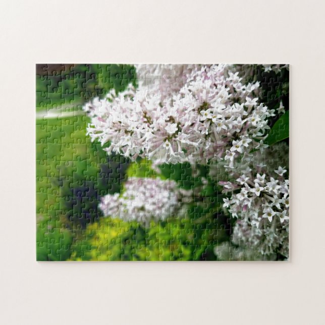 Puzzle Fleur sauvage créative promenade photo jigsaw puzz (Horizontal)