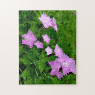 Puzzle Fleur sauvage créative promenade photo jigsaw puzz
