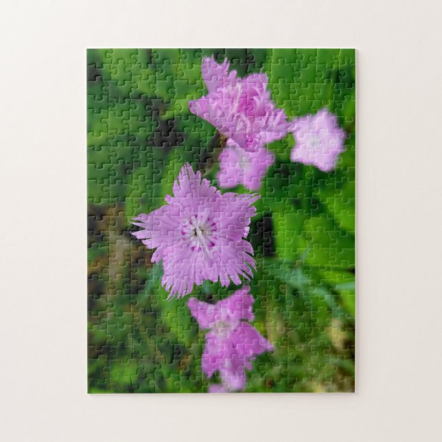 Puzzle Fleur sauvage créative promenade photo jigsaw puzz (Vertical)
