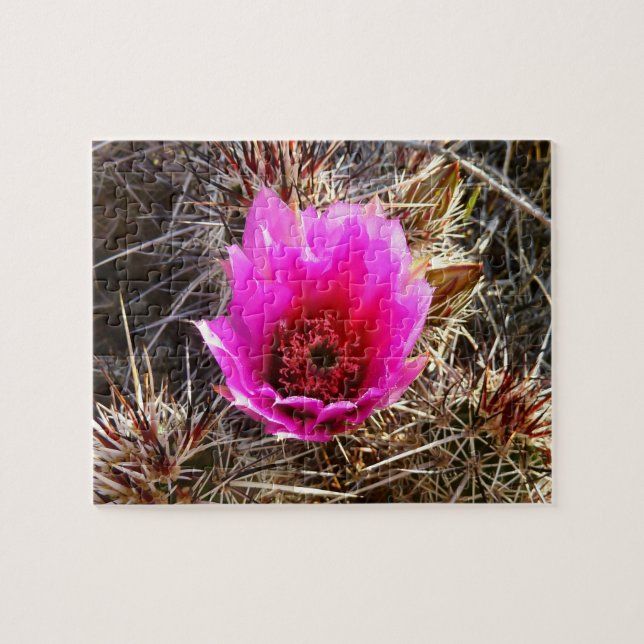 Puzzle Fleur sauvage de cactus en fleurs (Prickly Pear) (Horizontal)