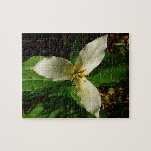 Puzzle Fleur sauvage de printemps blanc Trillium Flower (Horizontal)