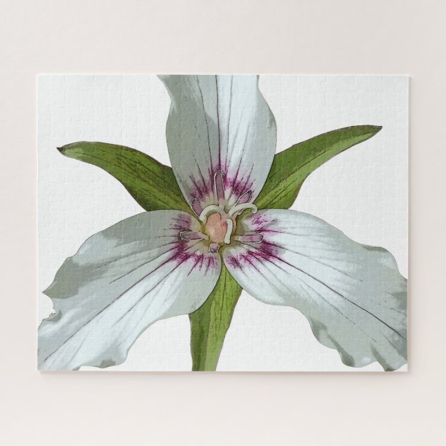 Puzzle Fleur sauvage de printemps Trillium peint (Horizontal)