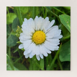 Puzzle Fleur Sauvage Roumanie – Photographie Botanique Ma