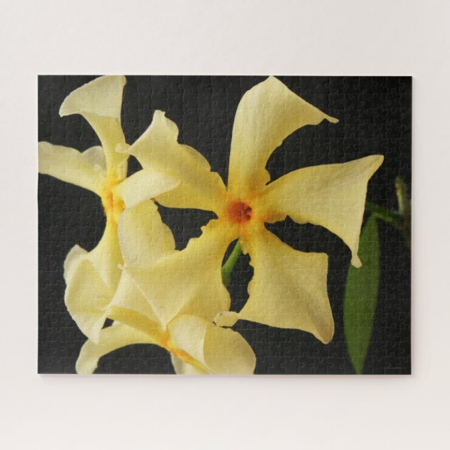 Puzzle Fleur Star Jasmine 16x20 520pc jpa (Horizontal)