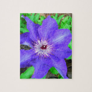 Puzzle Fleur violette Clematis